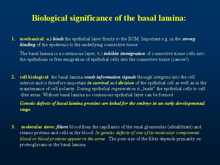 Biological significance of the basal lamina: 1. mechanical: a. ) binds the epithelial layer