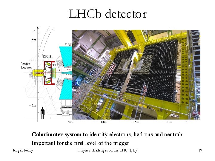 LHCb detector e h Calorimeter system to identify electrons, hadrons and neutrals Important for