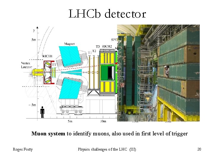 LHCb detector m Muon system to identify muons, also used in first level of