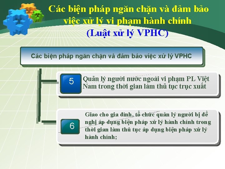 Các biện pháp ngăn chặn và đảm bảo việc xử lý vi phạm hành