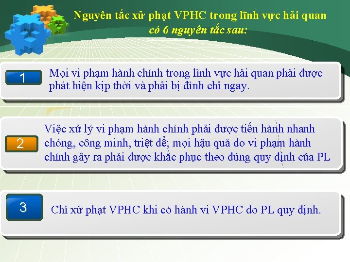 Nguyên tắc xử phạt VPHC trong lĩnh vực hải quan có 6 nguyên tắc