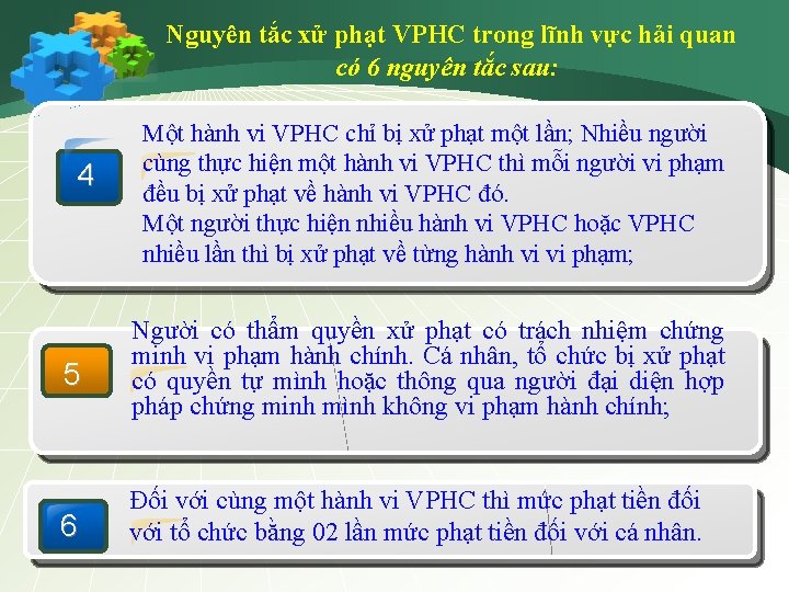 Nguyên tắc xử phạt VPHC trong lĩnh vực hải quan có 6 nguyên tắc