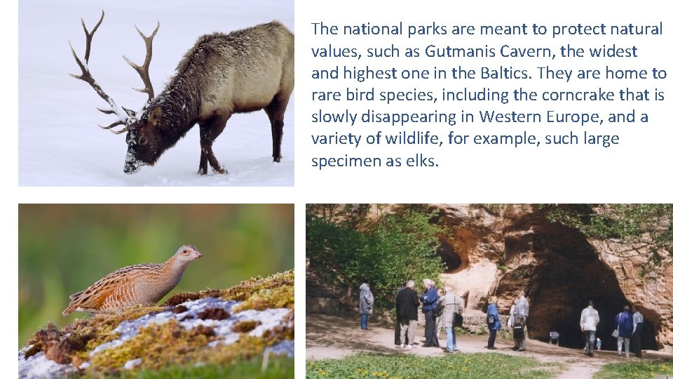 The national parks are meant to protect natural values, such as Gutmanis Cavern, the The national parks are meant to protect natural values, such as Gutmanis Cavern, the