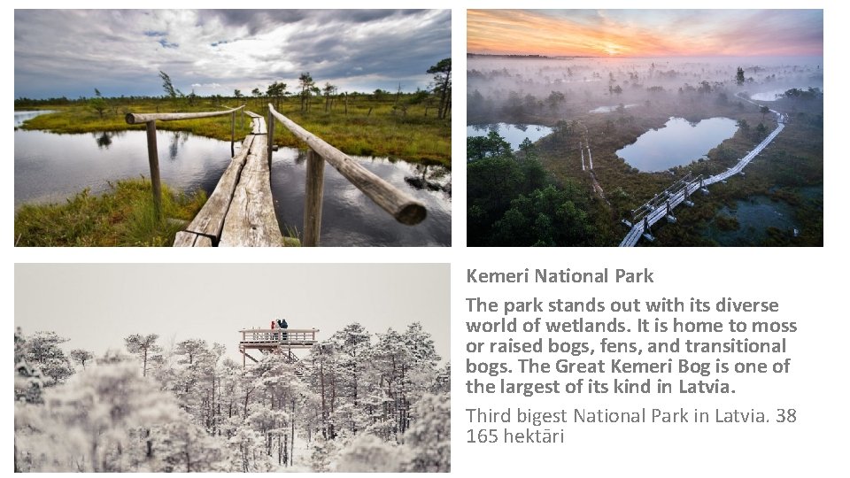 Kemeri National Park The park stands out with its diverse world of wetlands. It Kemeri National Park The park stands out with its diverse world of wetlands. It