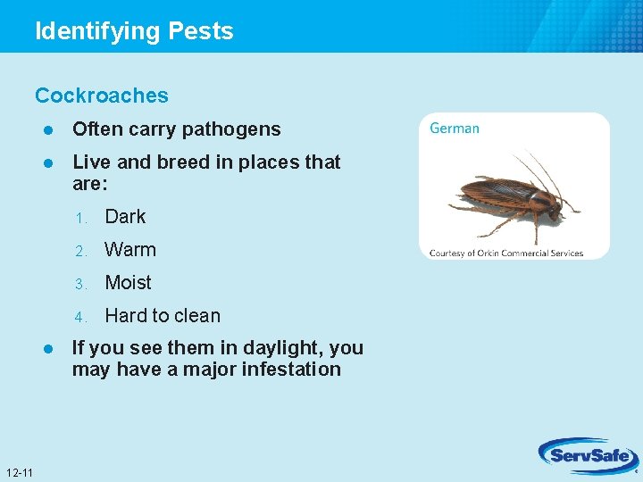Identifying Pests Cockroaches l Often carry pathogens l Live and breed in places that