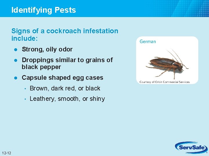 Identifying Pests Signs of a cockroach infestation include: 12 -12 l Strong, oily odor
