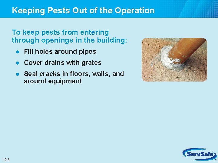 Keeping Pests Out of the Operation To keep pests from entering through openings in