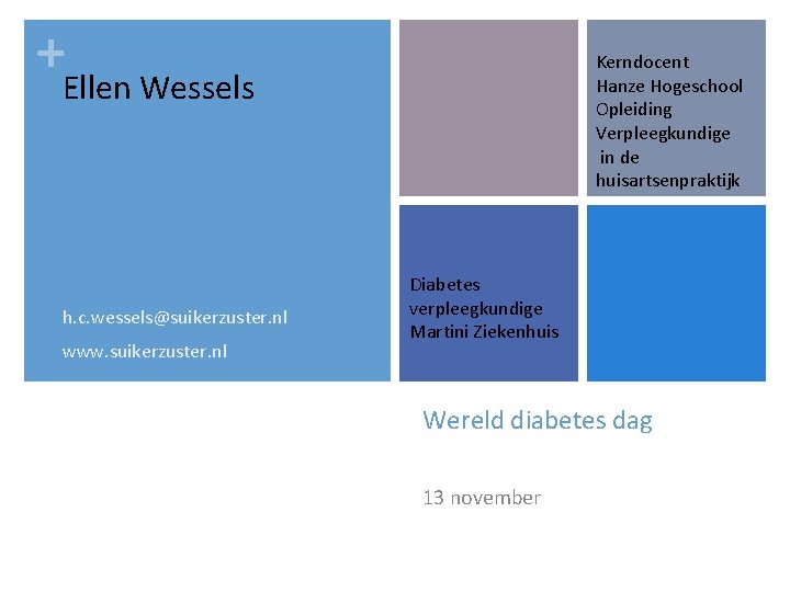 +Ellen Wessels h. c. wessels@suikerzuster. nl www. suikerzuster. nl Kerndocent Hanze Hogeschool Opleiding Verpleegkundige