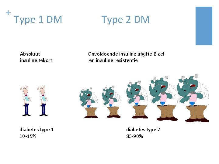 + Type 1 DM Absoluut insuline tekort diabetes type 1 10 -15% Type 2