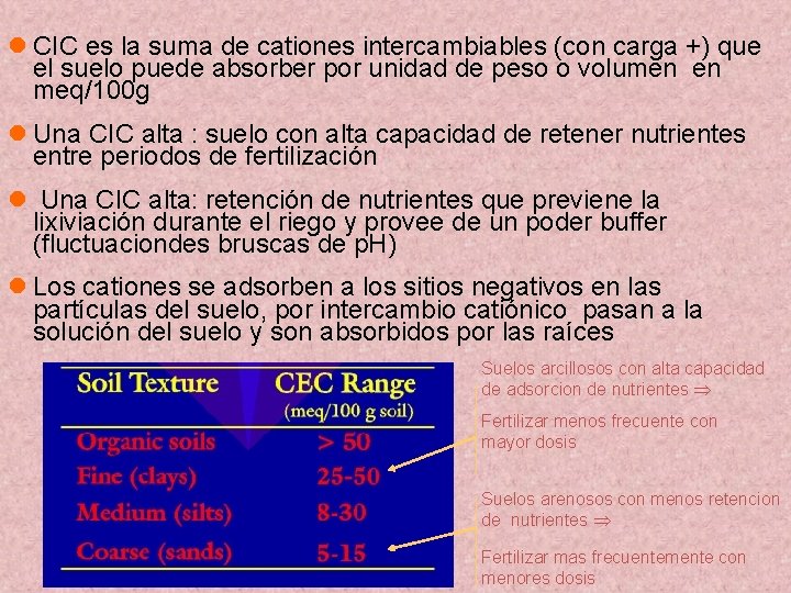 l CIC es la suma de cationes intercambiables (con carga +) que el suelo l CIC es la suma de cationes intercambiables (con carga +) que el suelo