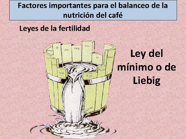Factores importantes para el balanceo de la nutrición del café Leyes de la fertilidad Factores importantes para el balanceo de la nutrición del café Leyes de la fertilidad