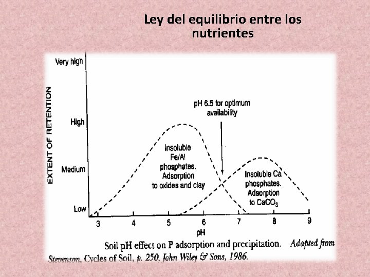 Ley del equilibrio entre los nutrientes Ley del equilibrio entre los nutrientes