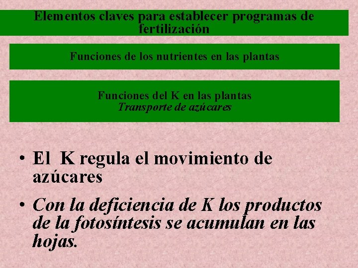 Elementos claves para establecer programas de fertilización Funciones de los nutrientes en las plantas Elementos claves para establecer programas de fertilización Funciones de los nutrientes en las plantas