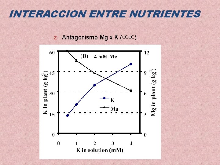 INTERACCION ENTRE NUTRIENTES z Antagonismo Mg x K ( ) INTERACCION ENTRE NUTRIENTES z Antagonismo Mg x K ( )