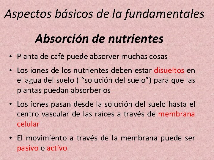Aspectos básicos de la fundamentales Absorción de nutrientes • Planta de café puede absorver Aspectos básicos de la fundamentales Absorción de nutrientes • Planta de café puede absorver