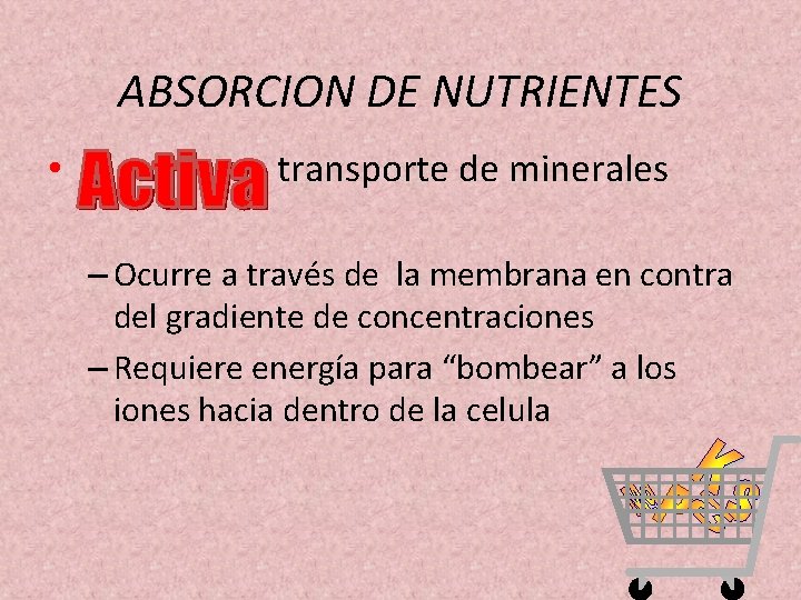 ABSORCION DE NUTRIENTES • transporte de minerales – Ocurre a través de la membrana ABSORCION DE NUTRIENTES • transporte de minerales – Ocurre a través de la membrana