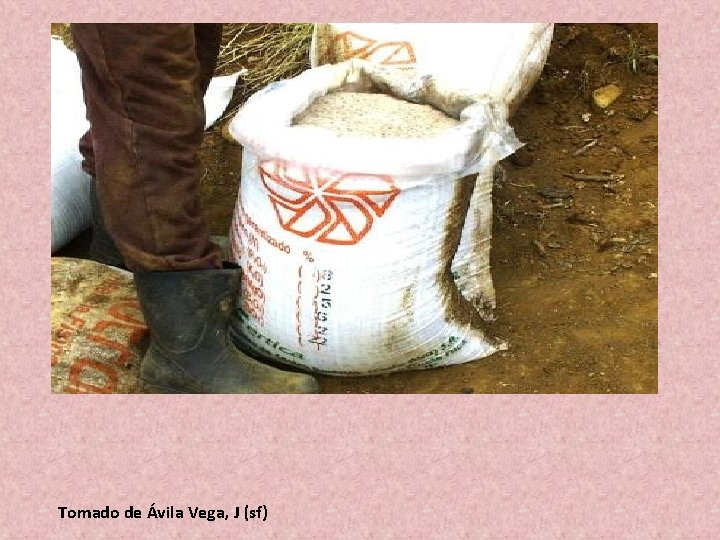 Tomado de Ávila Vega, J (sf) Tomado de Ávila Vega, J (sf)
