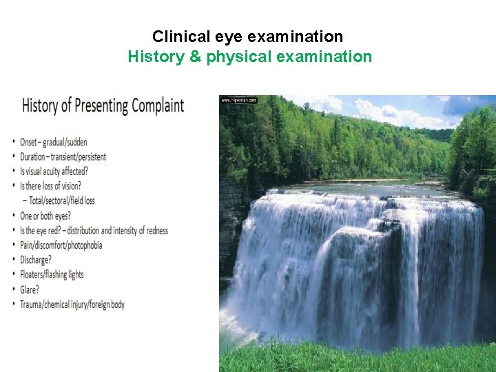 Clinical eye examination History & physical examination 