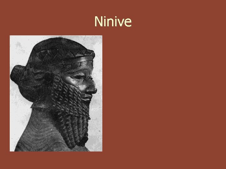 Ninive Ninive