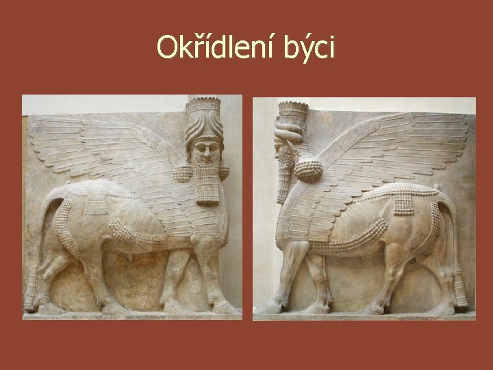 Okřídlení býci Okřídlení býci