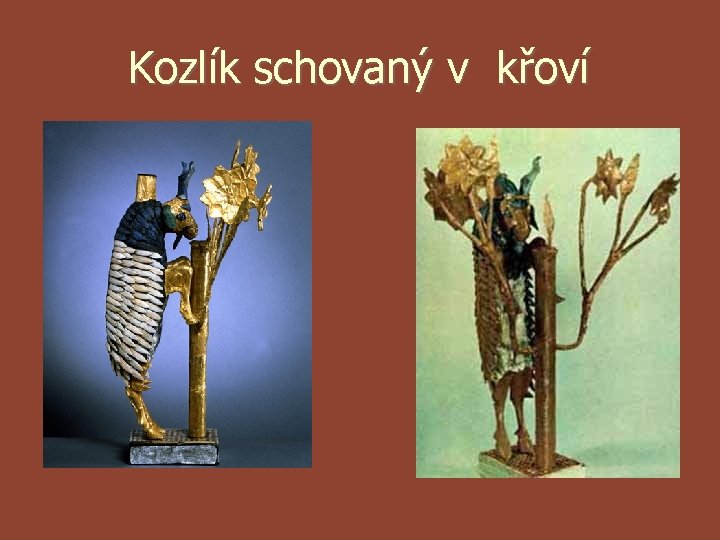 Kozlík schovaný v křoví Kozlík schovaný v křoví