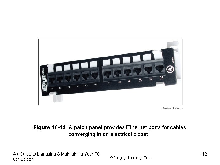 Figure 16 -43 A patch panel provides Ethernet ports for cables converging in an