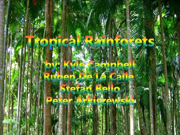 Tropical Rainforets by: Kyle Campbell Ruben De La Calle Stefan Bello Peter Arkiszewski 