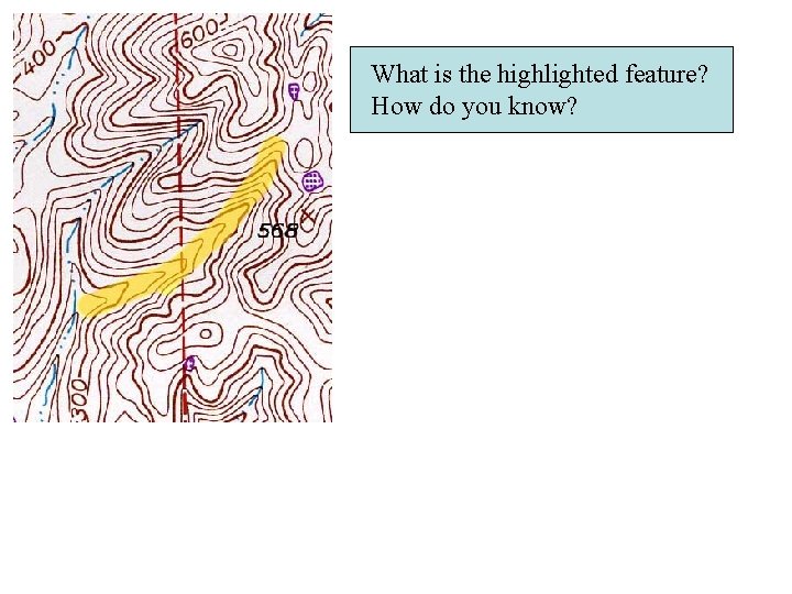 What is the highlighted feature? How do you know? 