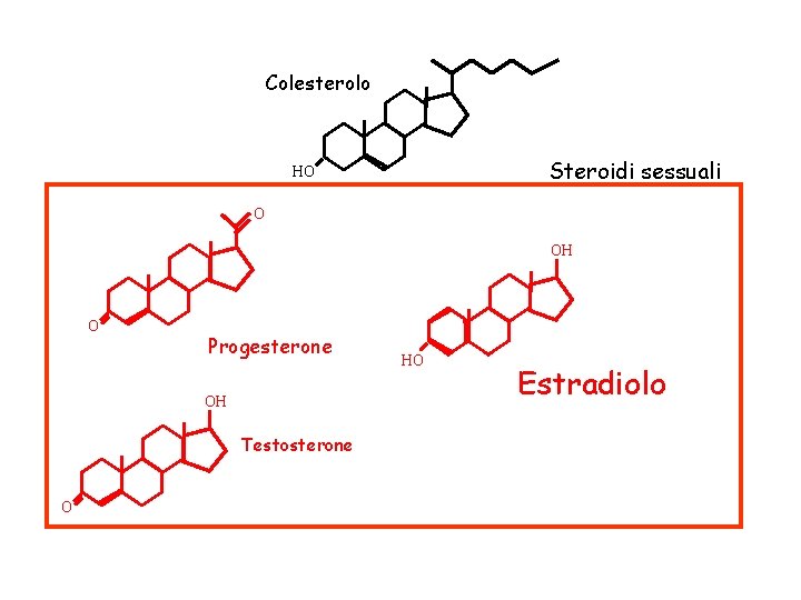 Colesterolo Steroidi sessuali HO O OH O Progesterone OH Testosterone O HO Estradiolo 