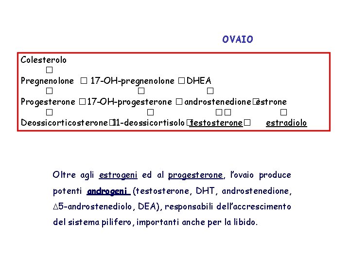 OVAIO Colesterolo � Pregnenolone � 17 -OH-pregnenolone � DHEA � � � Progesterone �