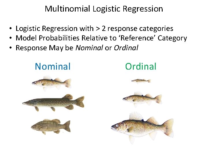 Multinomial Logistic Regression • Logistic Regression with > 2 response categories • Model Probabilities