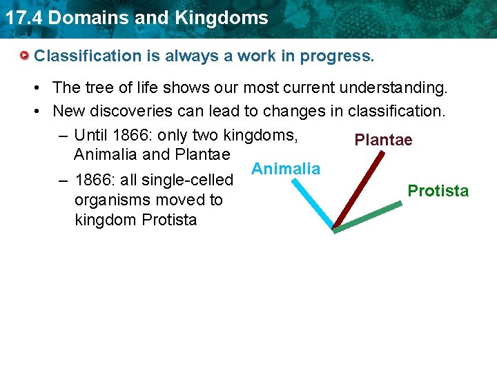 17. 4 Domains and Kingdoms Classification is always a work in progress. • The
