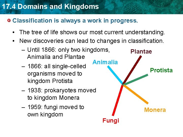 17. 4 Domains and Kingdoms Classification is always a work in progress. • The