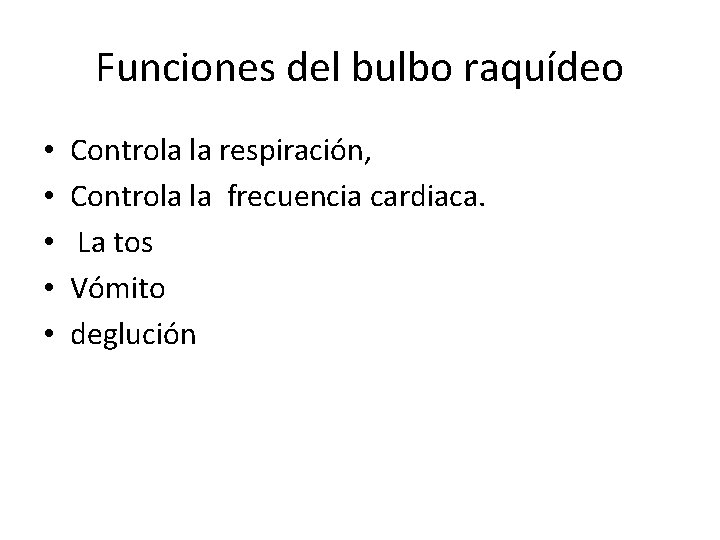 Funciones del bulbo raquídeo • • • Controla la respiración, Controla la frecuencia cardiaca.