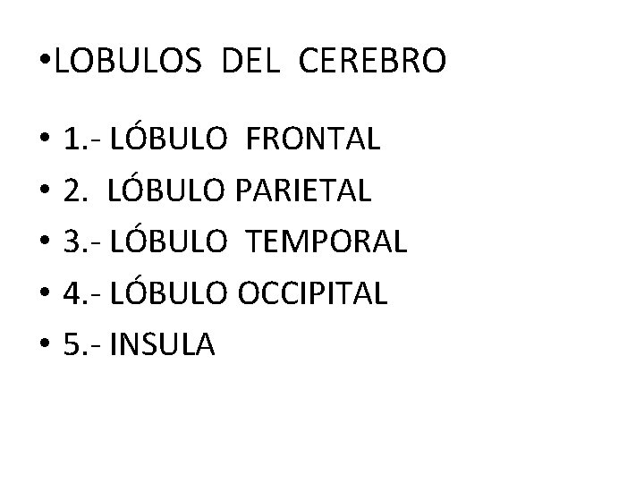  • LOBULOS DEL CEREBRO • • • 1. - LÓBULO FRONTAL 2. LÓBULO