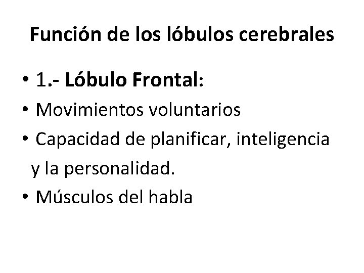 Función de los lóbulos cerebrales • 1. - Lóbulo Frontal: • Movimientos voluntarios •