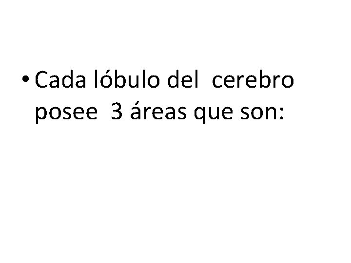  • Cada lóbulo del cerebro posee 3 áreas que son: 