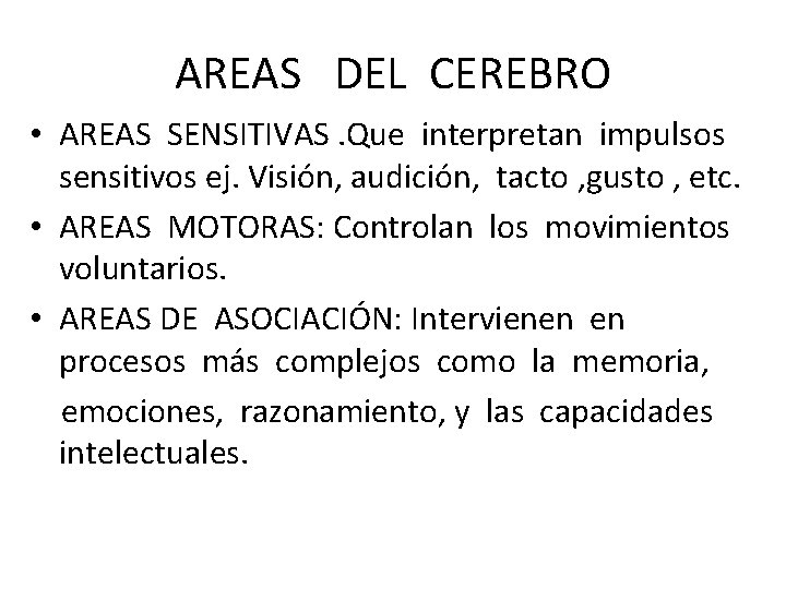AREAS DEL CEREBRO • AREAS SENSITIVAS. Que interpretan impulsos sensitivos ej. Visión, audición, tacto