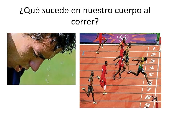 ¿Qué sucede en nuestro cuerpo al correr? 