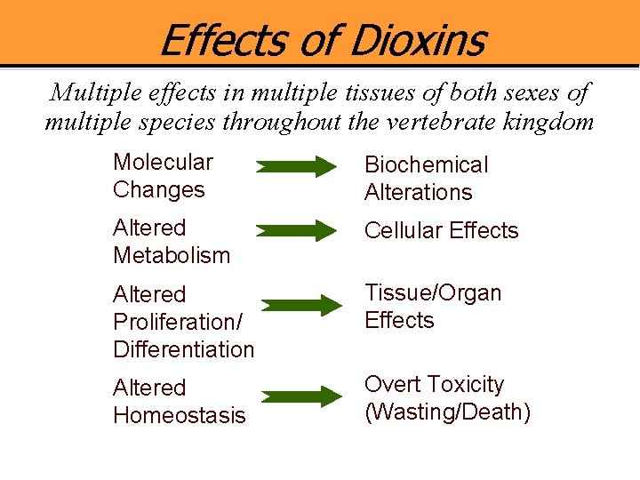 Effects of Dioxins Multiple effects in multiple tissues of both sexes of multiple species