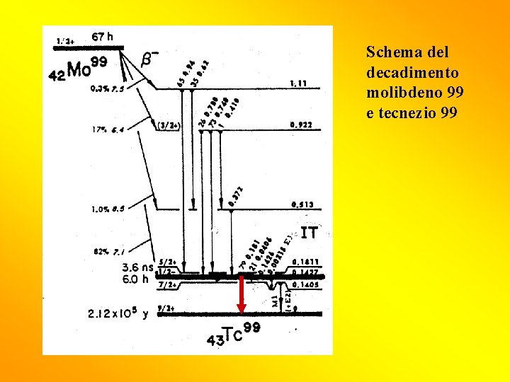 Schema del decadimento molibdeno 99 e tecnezio 99 