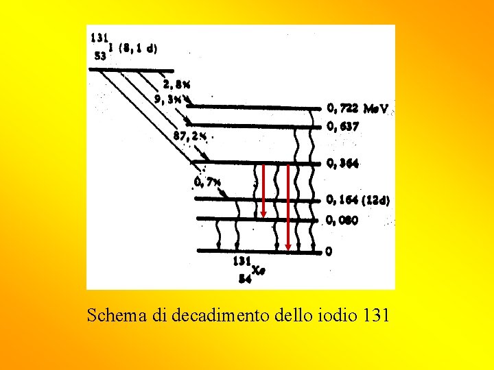 Schema di decadimento dello iodio 131 