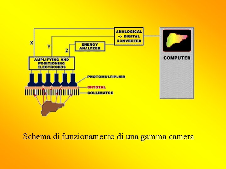 Schema di funzionamento di una gamma camera 