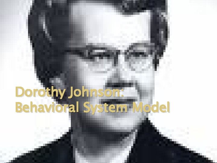 Dorothy Johnson: Behavioral System Model 