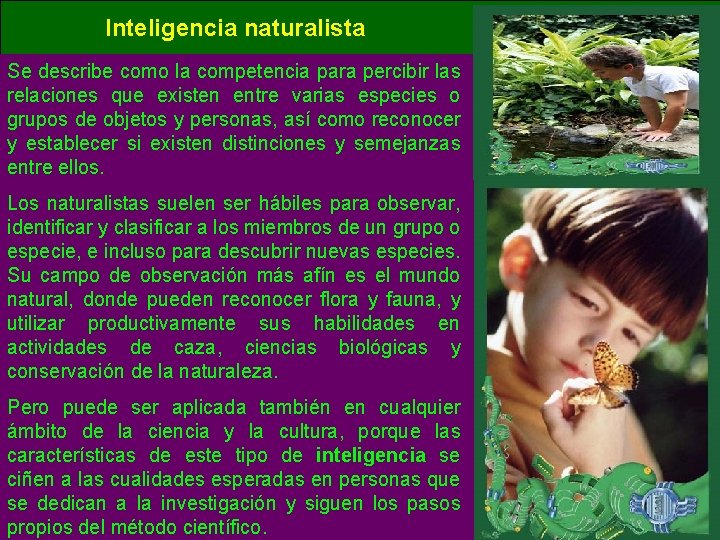 Inteligencia naturalista Se describe como la competencia para percibir las relaciones que existen entre Inteligencia naturalista Se describe como la competencia para percibir las relaciones que existen entre