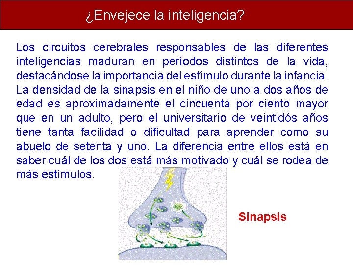 ¿Envejece la inteligencia? Los circuitos cerebrales responsables de las diferentes inteligencias maduran en períodos ¿Envejece la inteligencia? Los circuitos cerebrales responsables de las diferentes inteligencias maduran en períodos