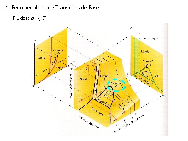 1. Fenomenologia de Transições de Fase Fluidos: p, V, T 