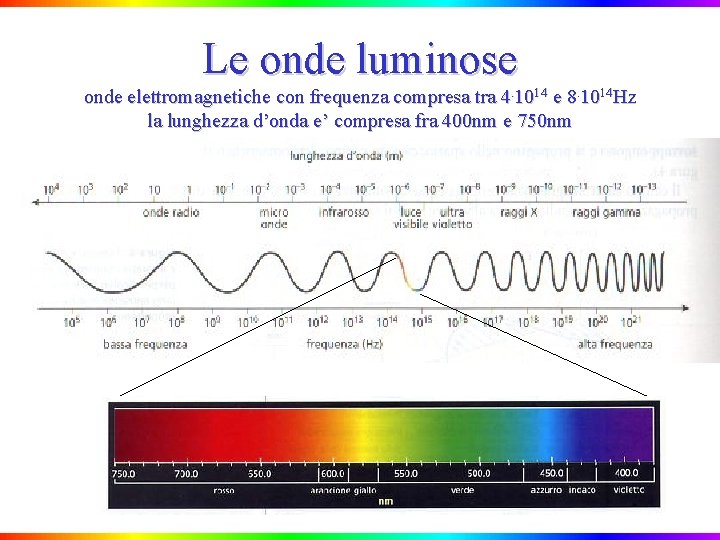 Le onde luminose onde elettromagnetiche con frequenza compresa tra 4. 1014 e 8. 1014