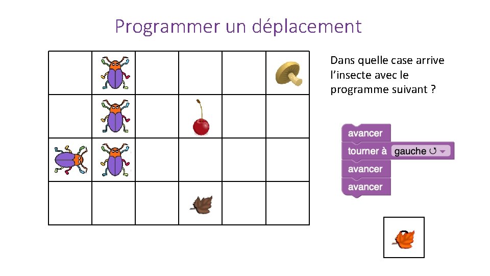 Programmer un déplacement Dans quelle case arrive l’insecte avec le programme suivant ? ?