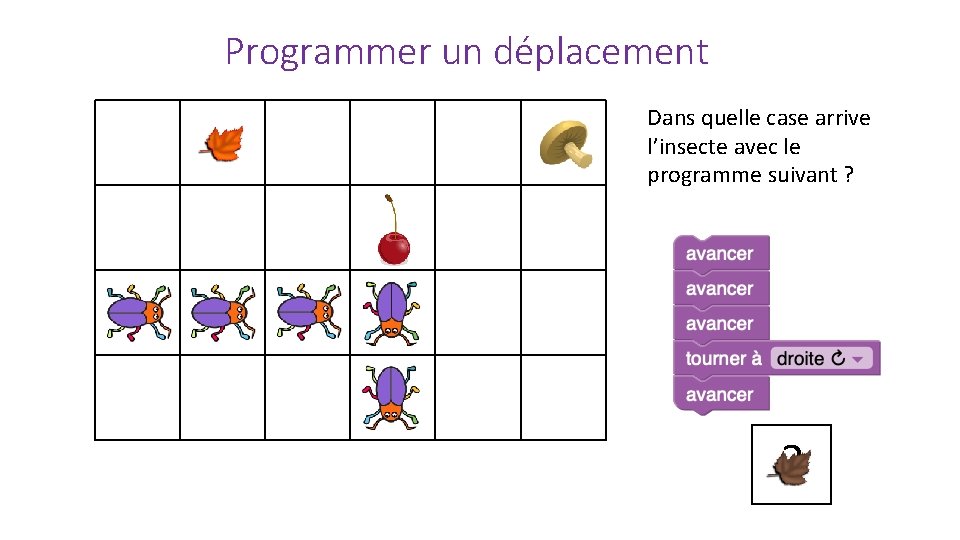 Programmer un déplacement Dans quelle case arrive l’insecte avec le programme suivant ? ?